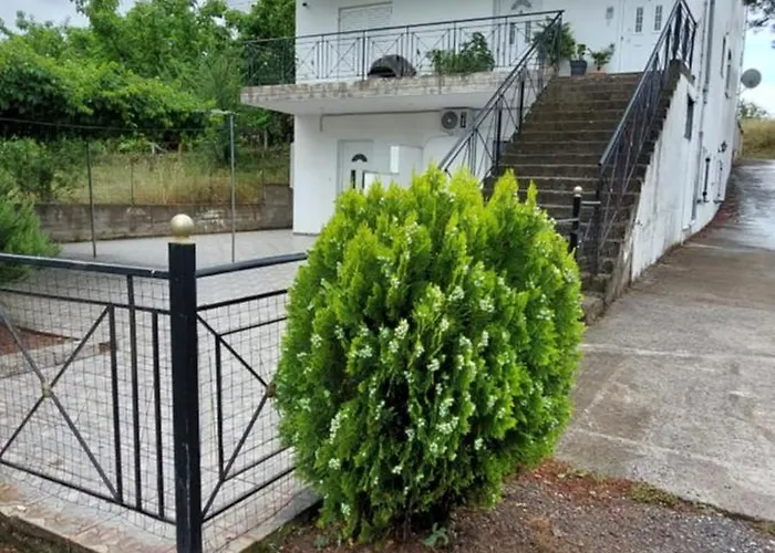 Home Garden And Big Parking